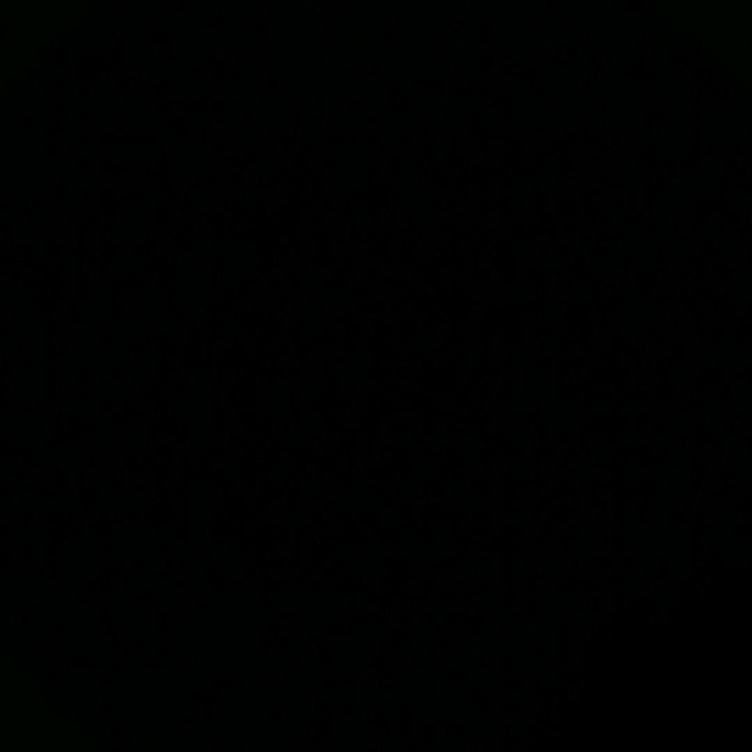 唐人街龙辉