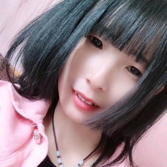 孤独的青宝