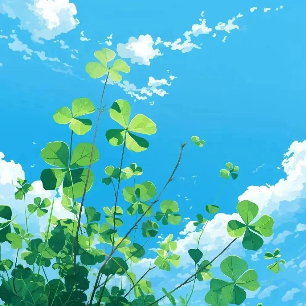 感恩遇见
