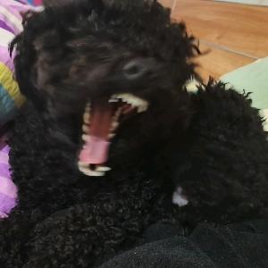 看不见我看不见我