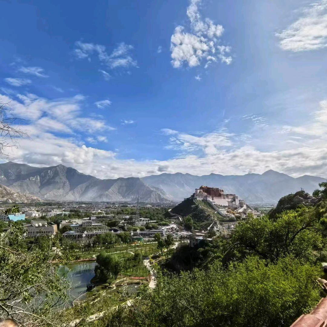 叼着奶瓶逛酒吧