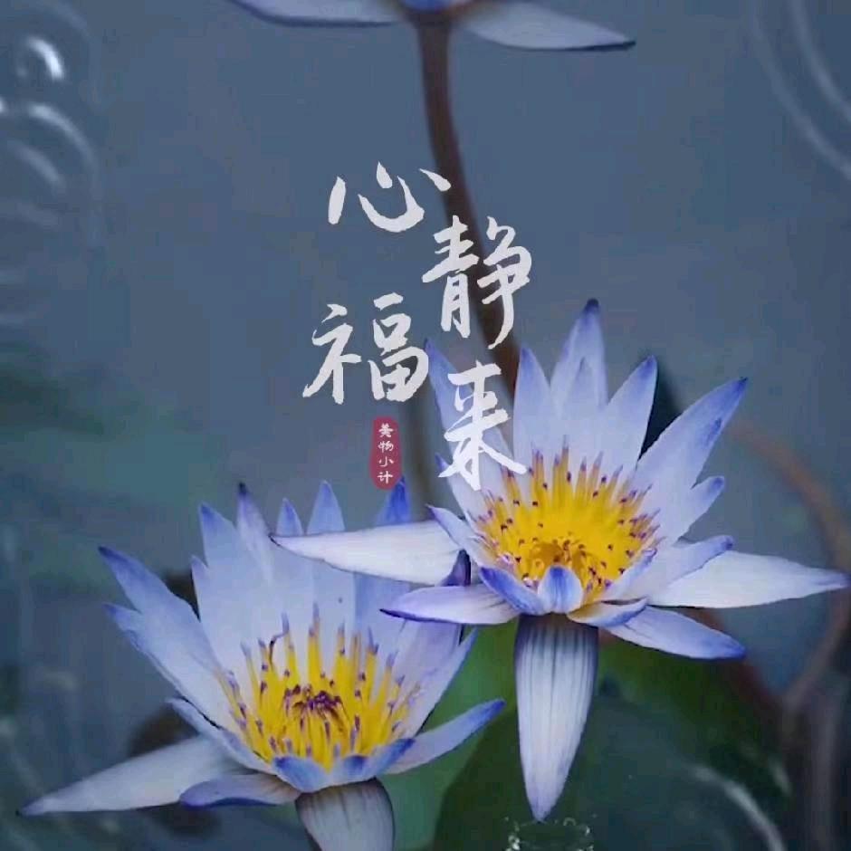 幸福悄悄慢延