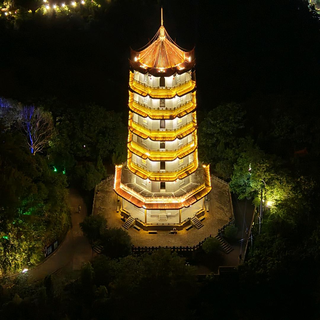 吃大象的蚂蚁