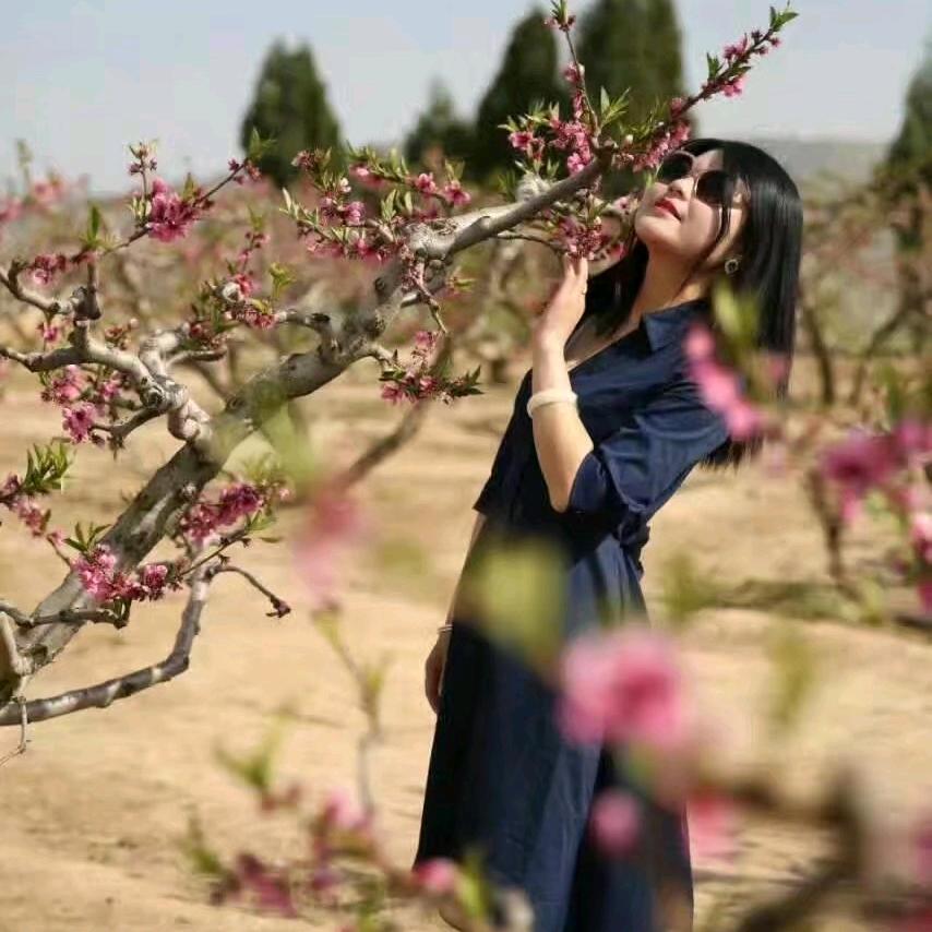 梨园晓芳