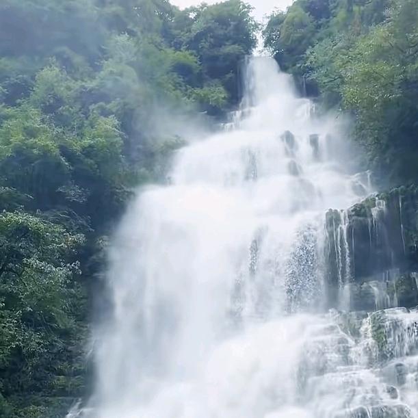 廷