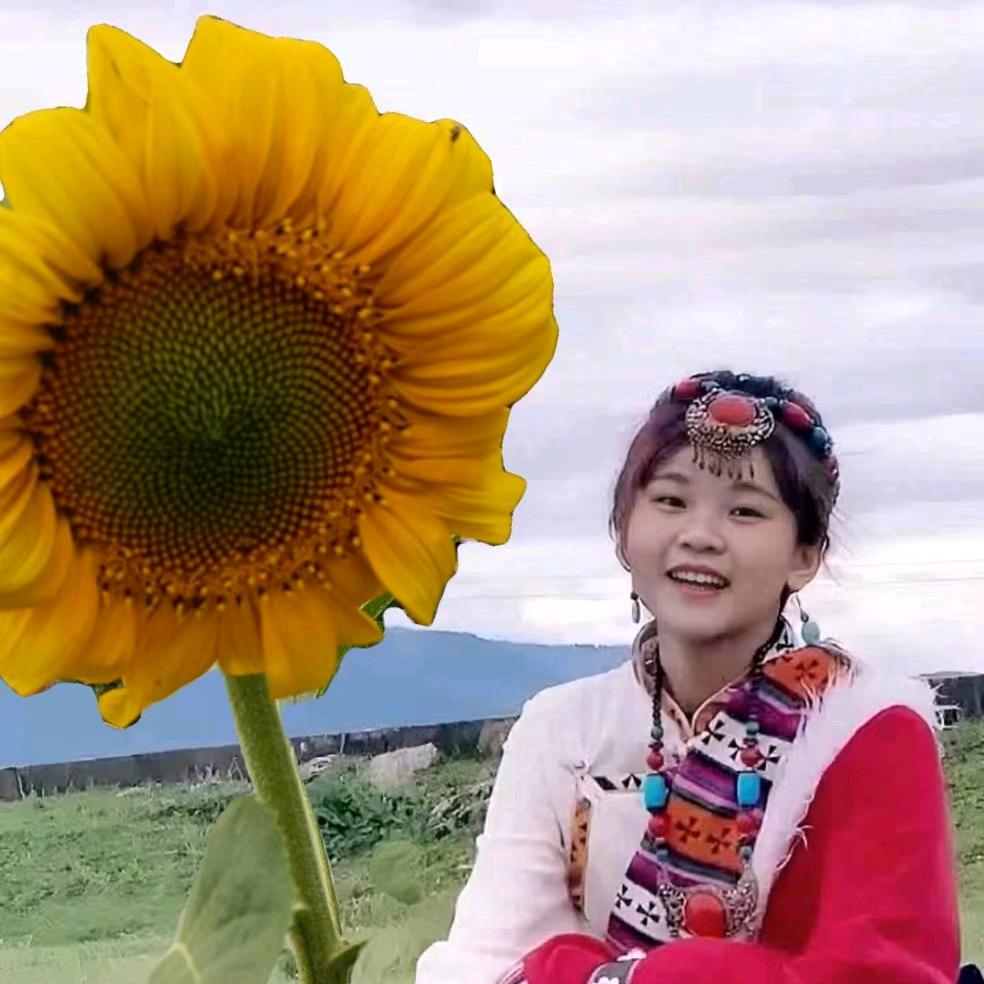 小楊🌻🌻
