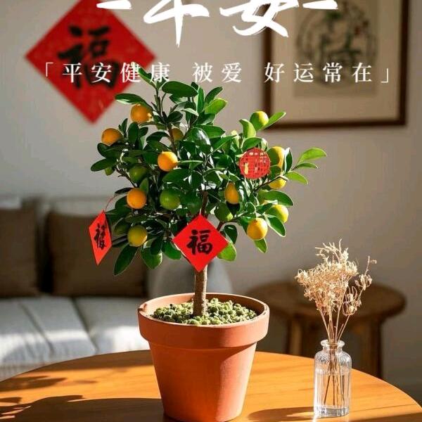 春意盎然