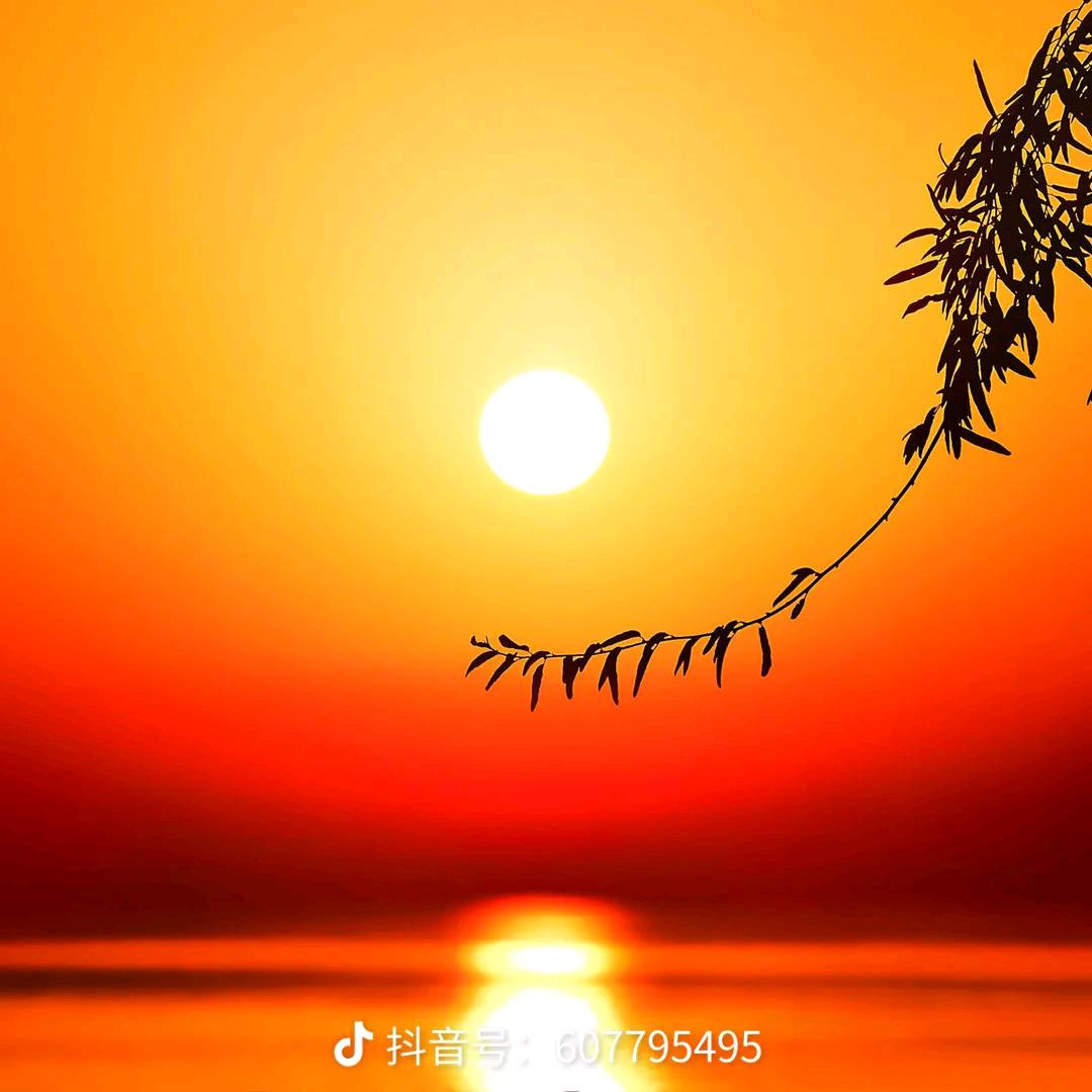 sss