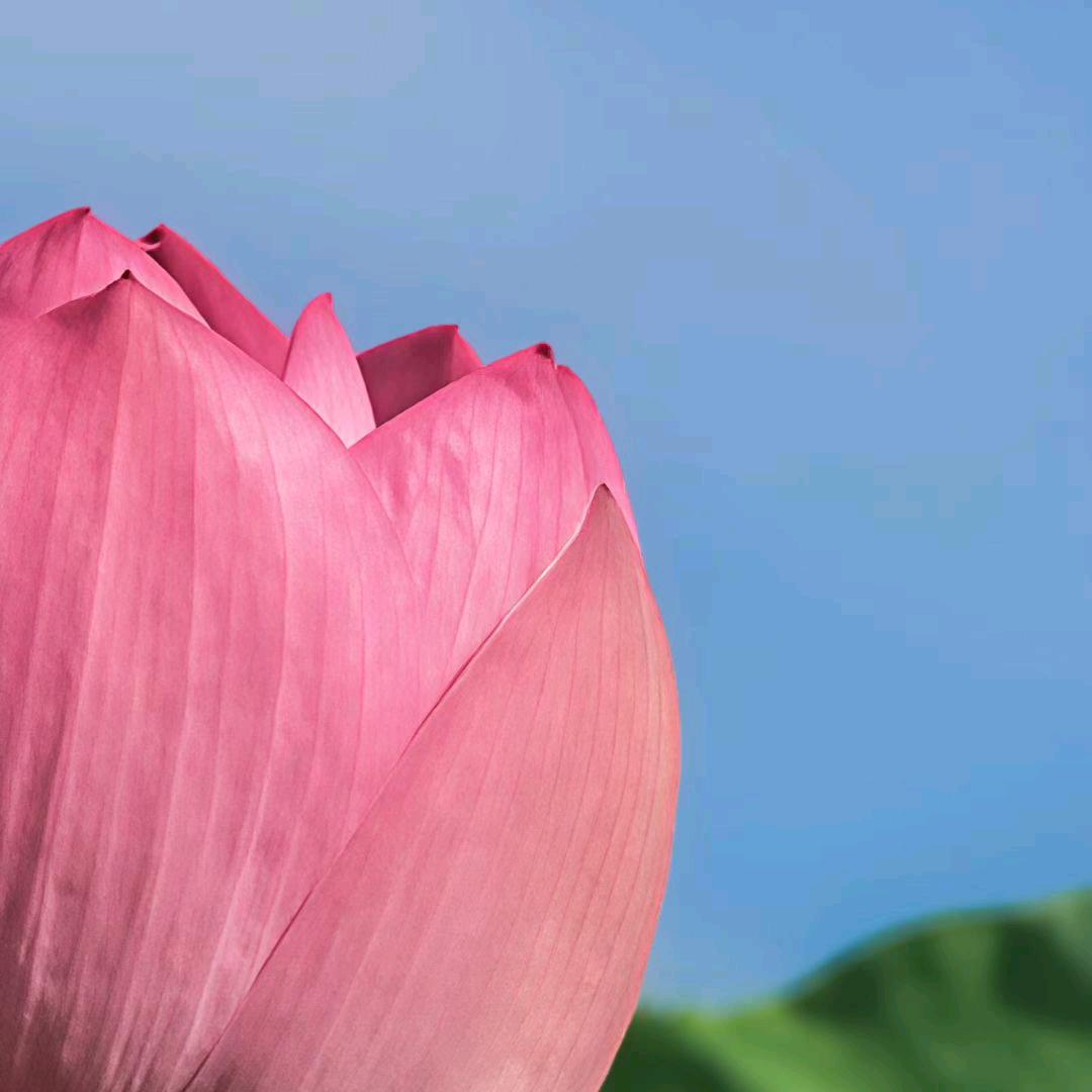 花非花雾非雾。