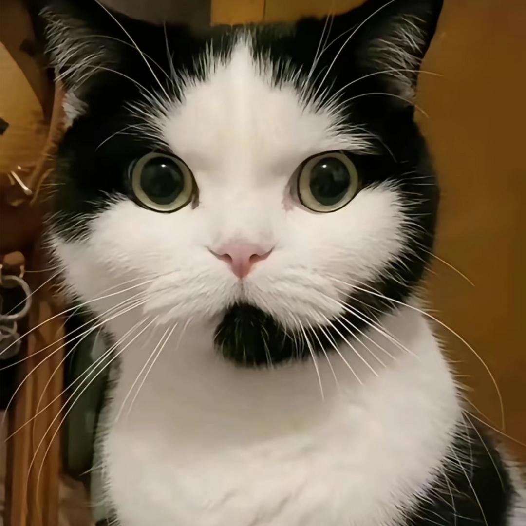 🌈彩の钥匙🌈