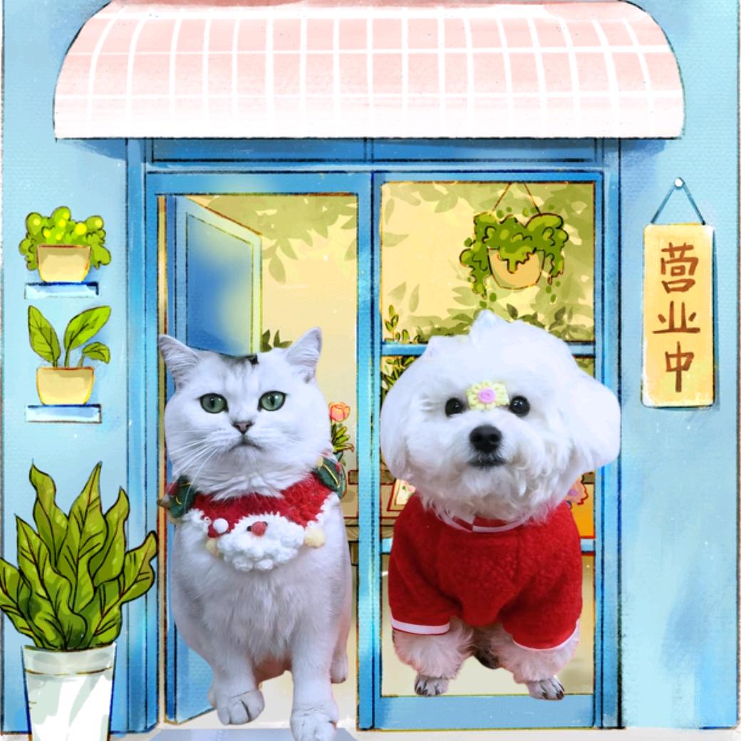 喵老板和汪掌柜