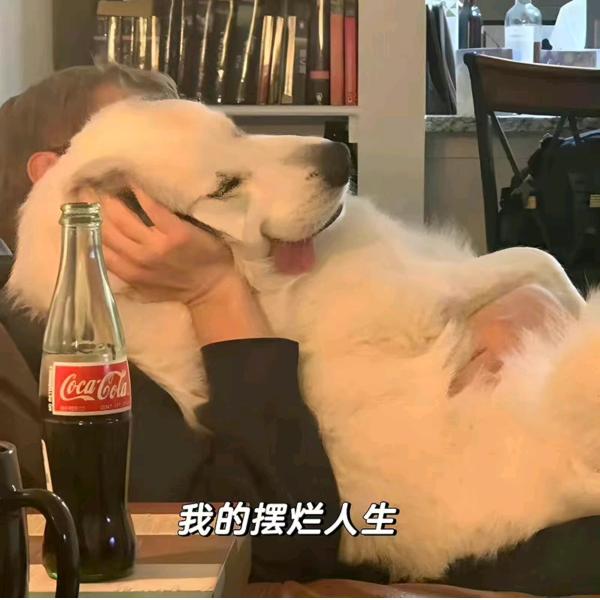 我打碎了夕阳（晨曦版）