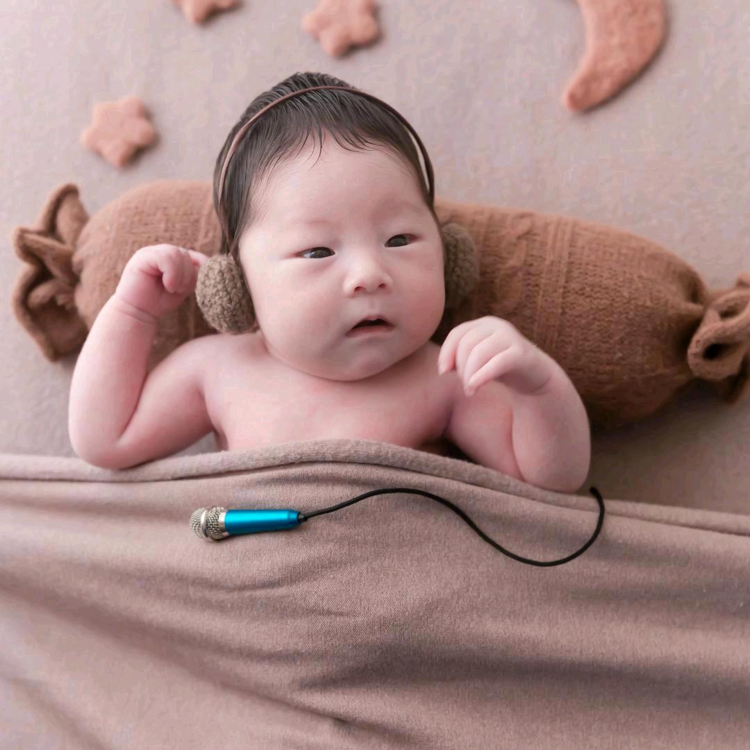 小海胆成长记