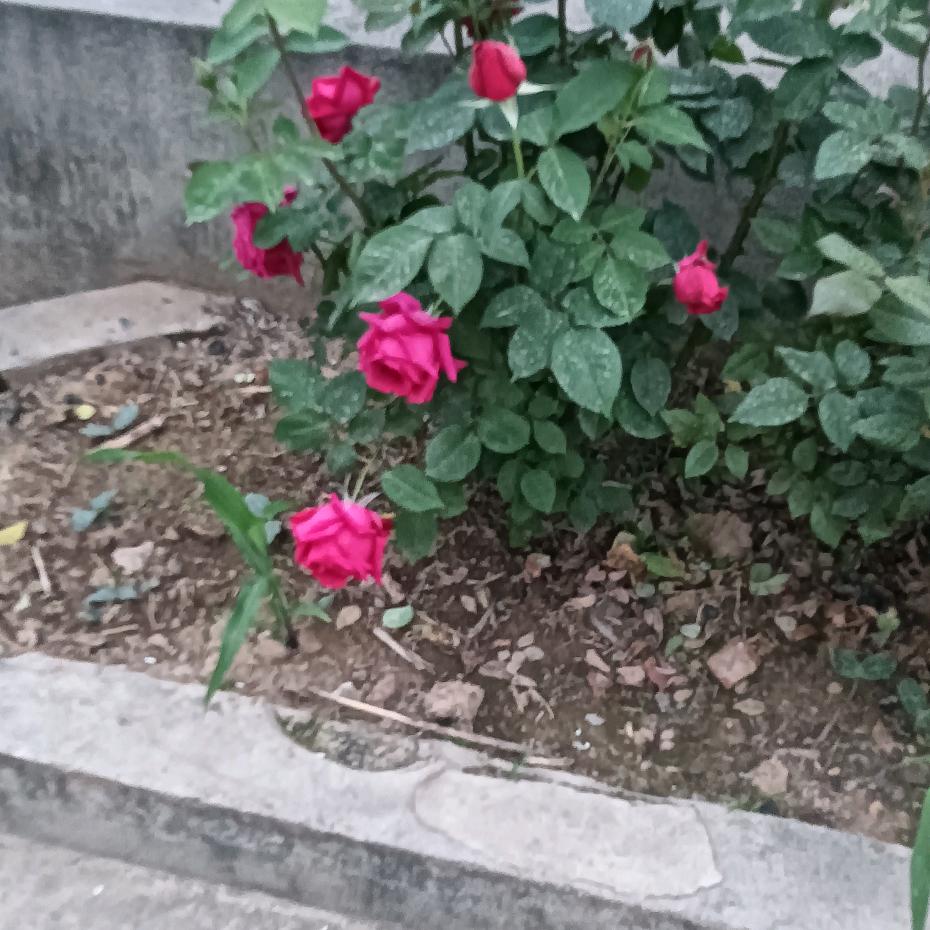 4月的夏天