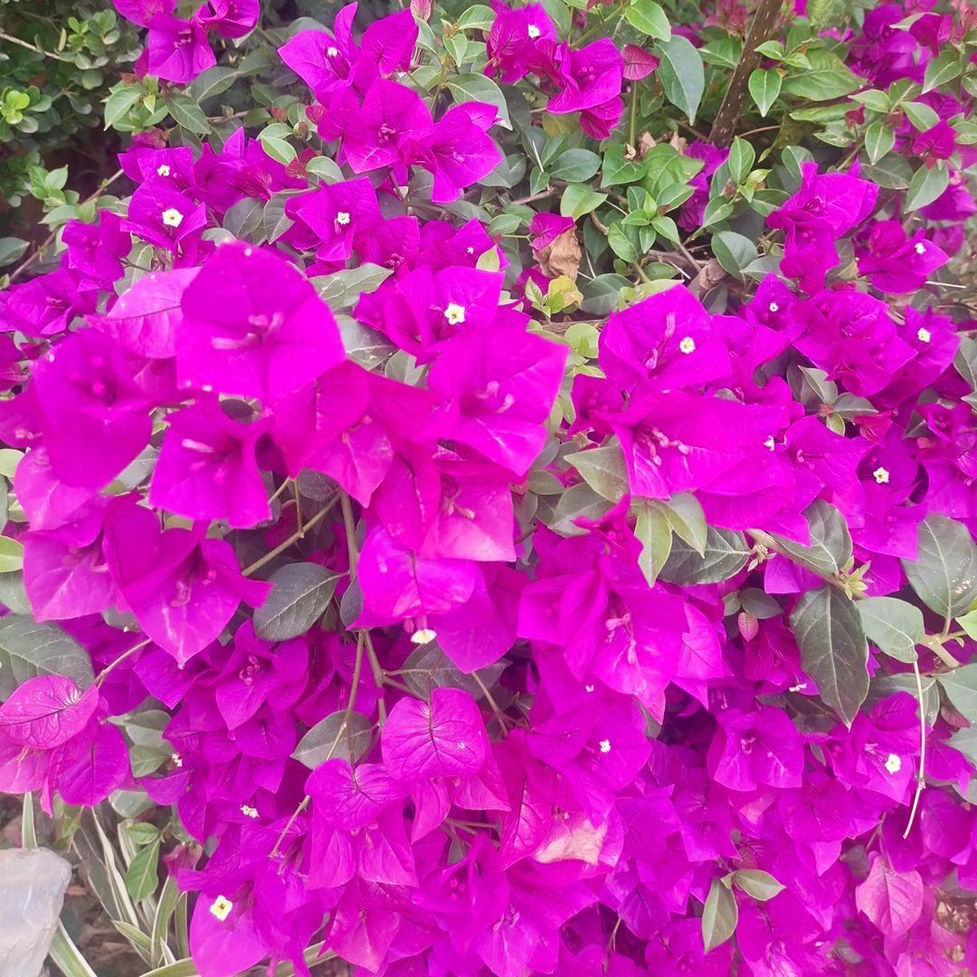 永远快乐，闫博