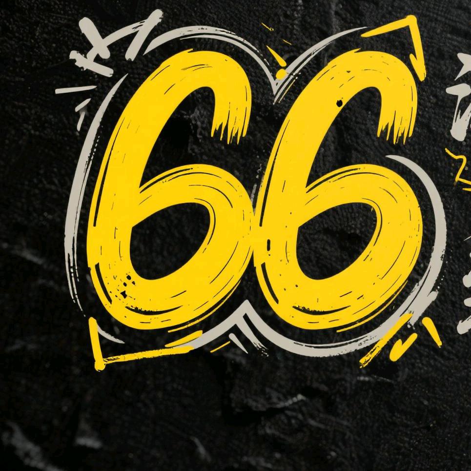 66