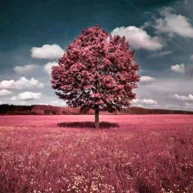 张杨严选生活坊