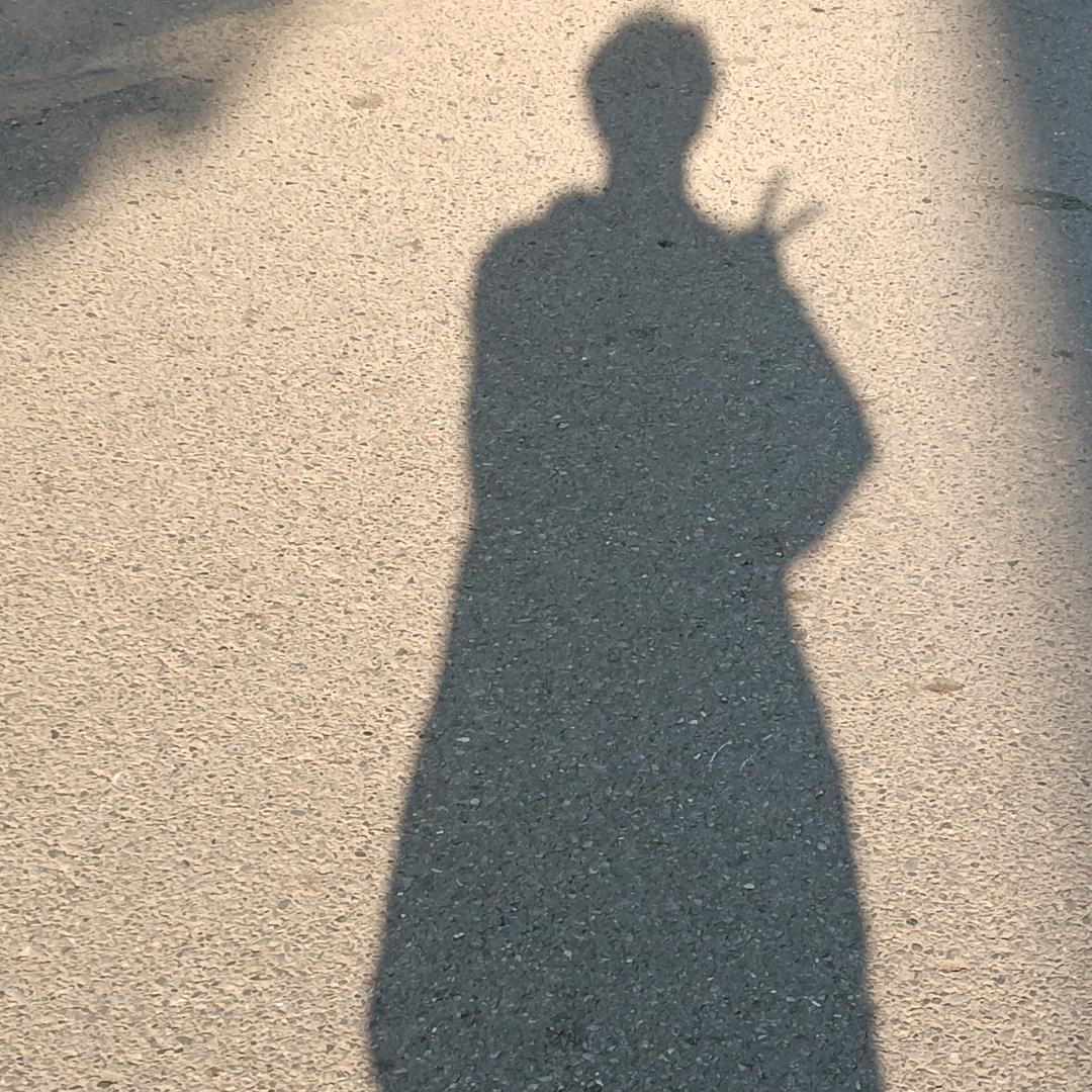 朱顿不愚顿