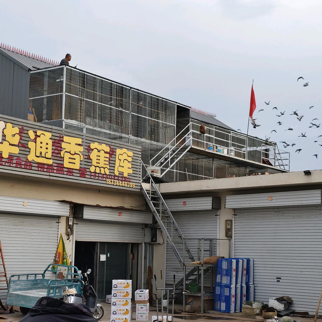 专业批发粮油香蕉
