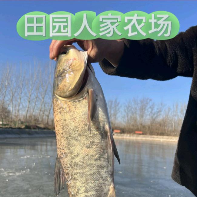 田园人家农场