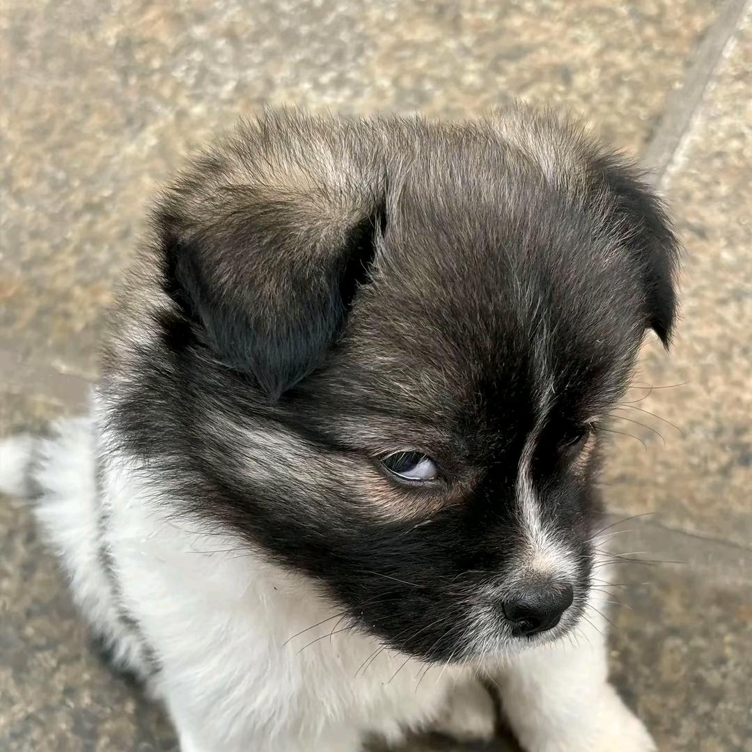 🏎絮语护驾🏎