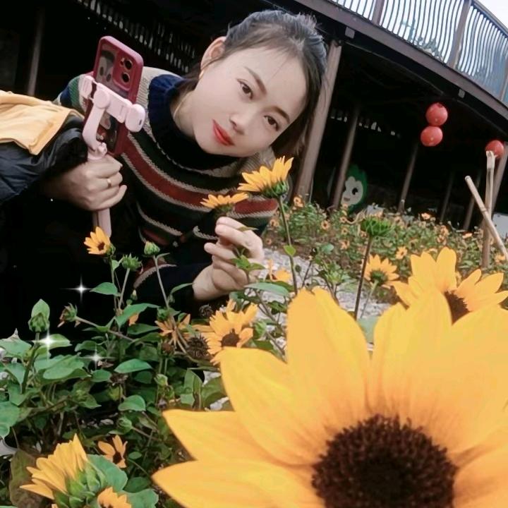 永远有一颗少女心