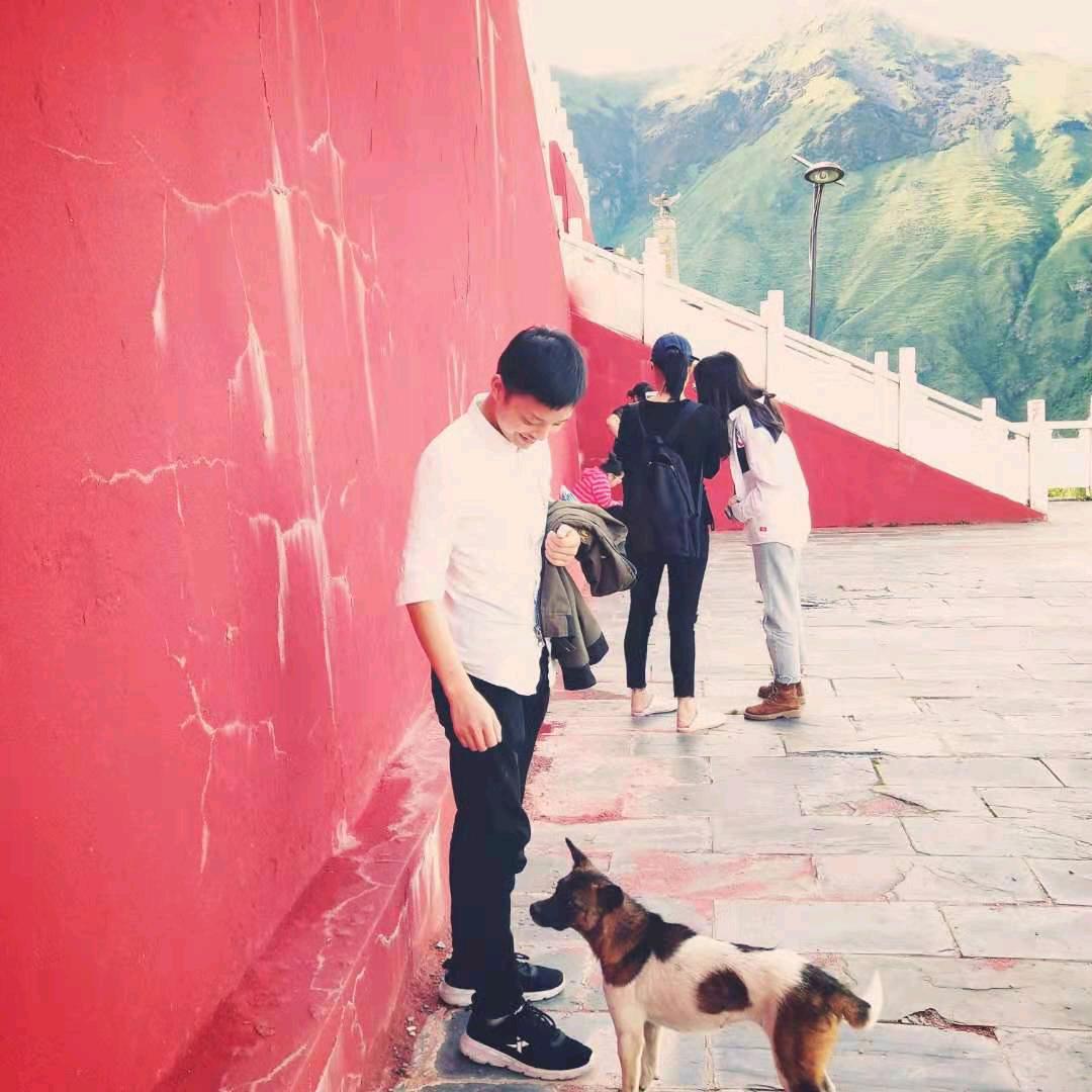 中国古拳法传人-何金银