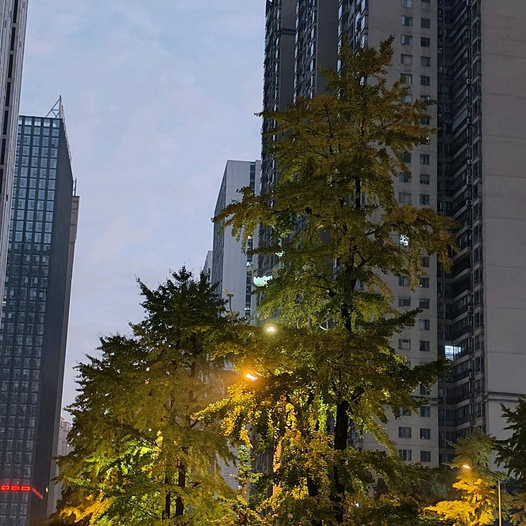 叽里咕噜WiFi的泡泡鱼和钓云朵滴歪面条