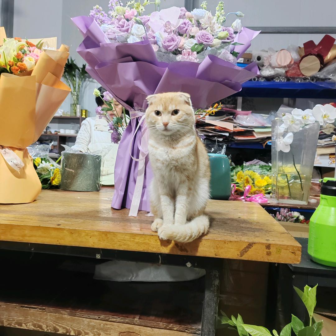 诗和远坊