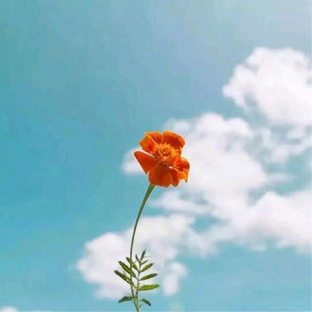 A-
