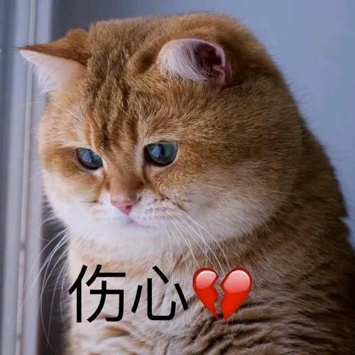 乌鸦