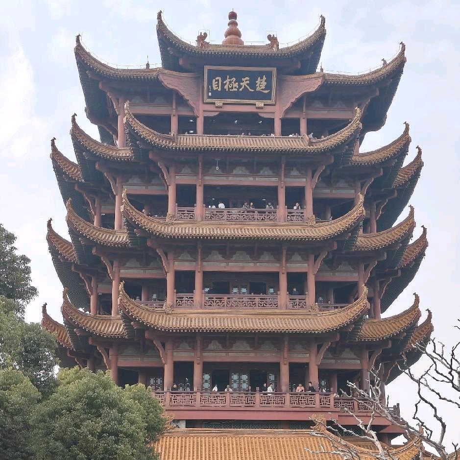 从容现在，信步未来