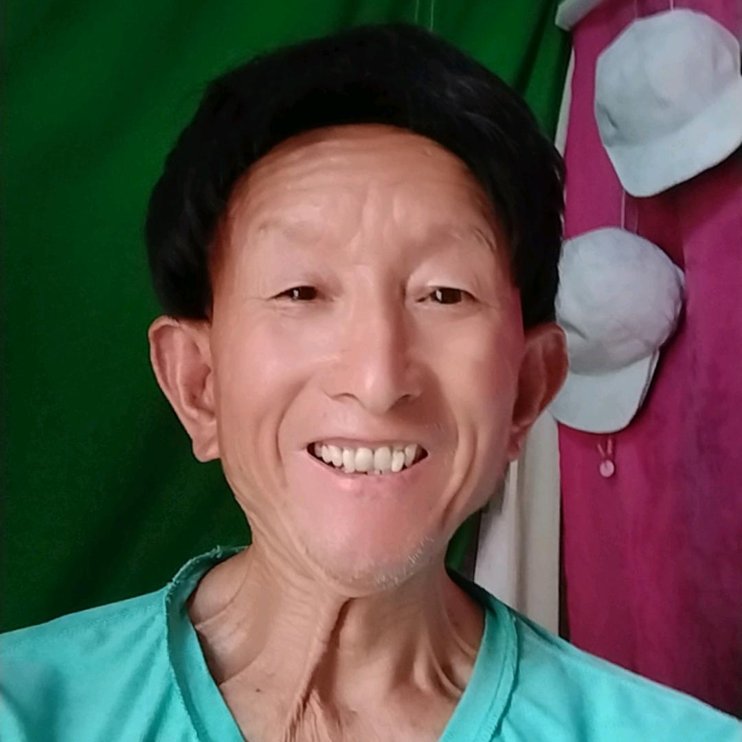 河南杨哥