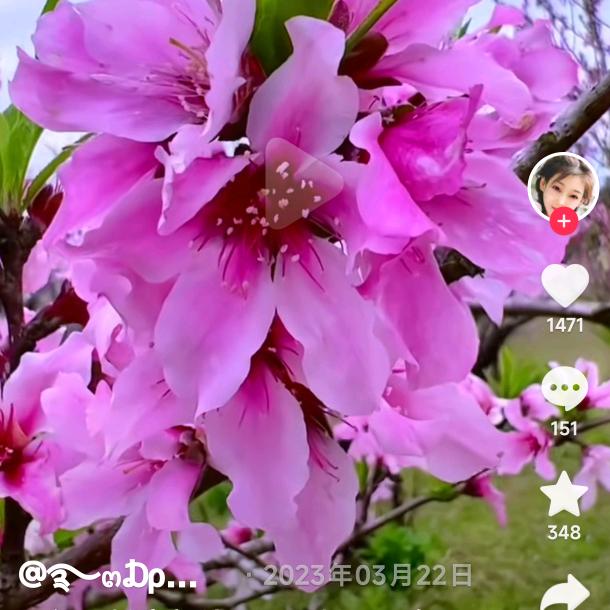 春暖花开天天开心