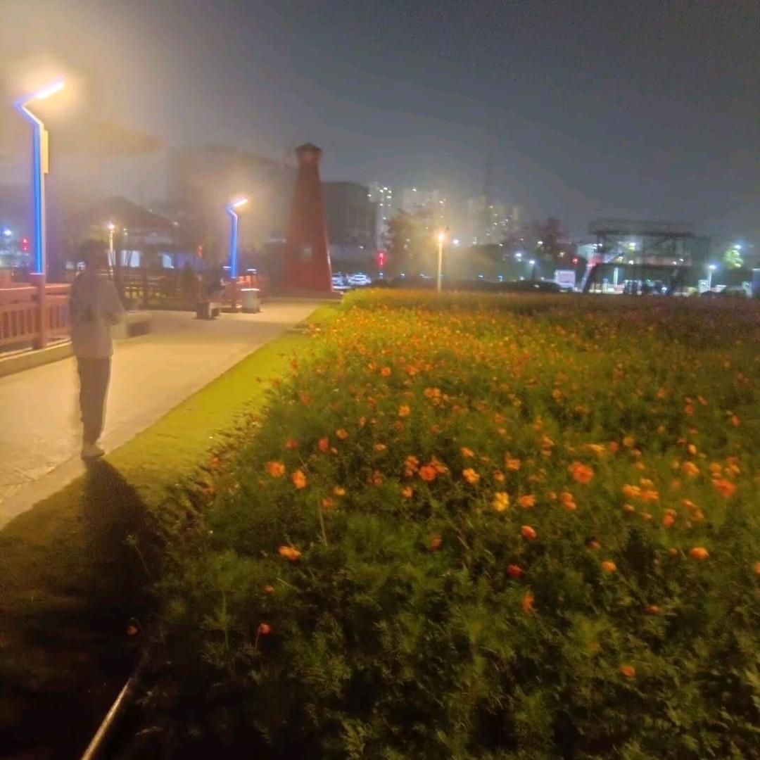 哄不好的小掌柜