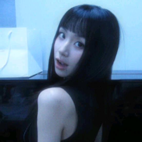 小小zz（猫狗教）