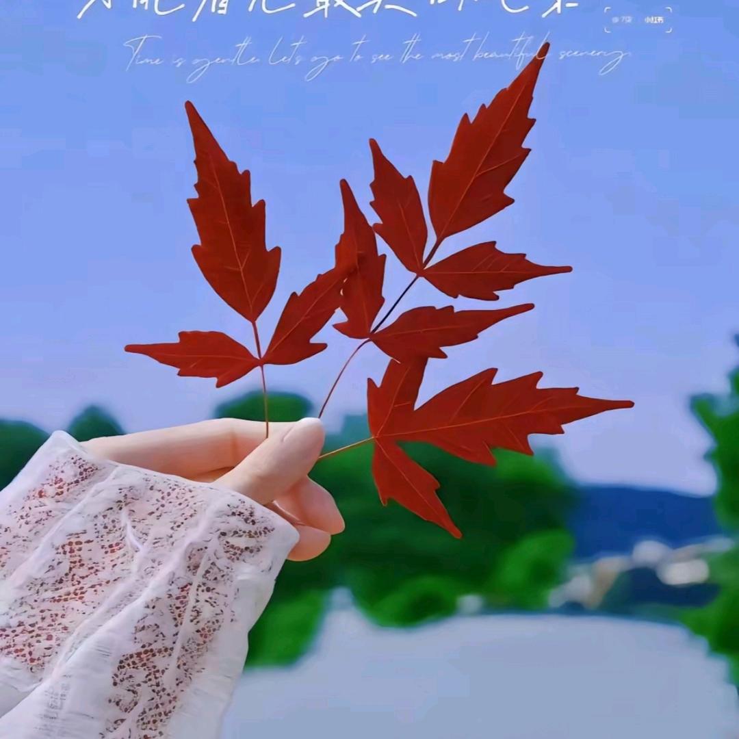 小王同学呀💓