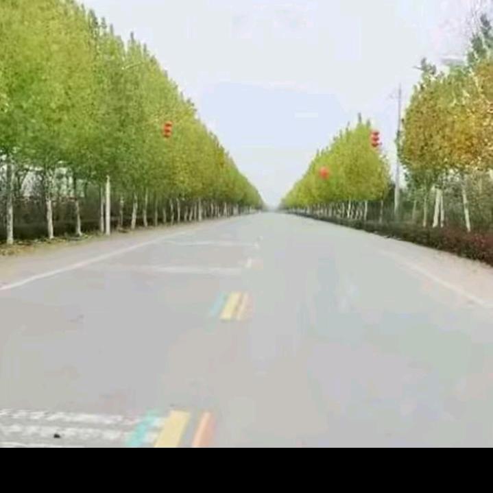 姓张先生