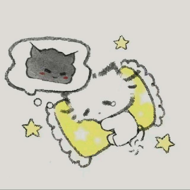 ₍^˶⦁⩊⦁˶^₎