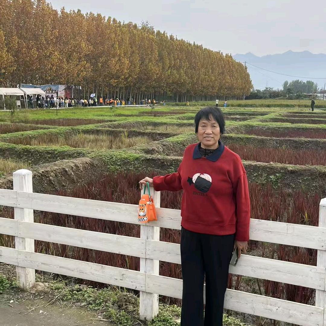 许银银