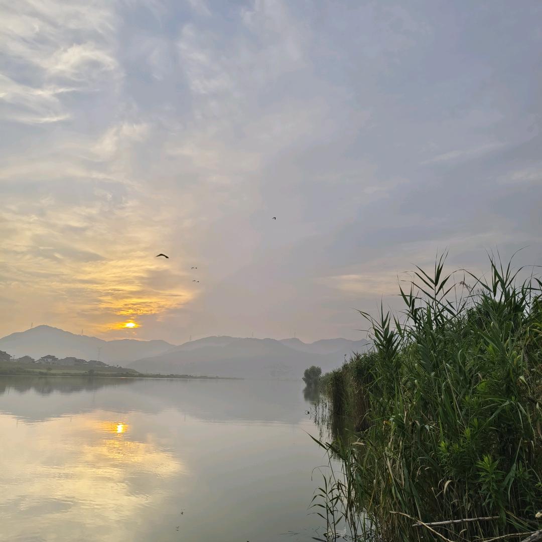 明明正能量