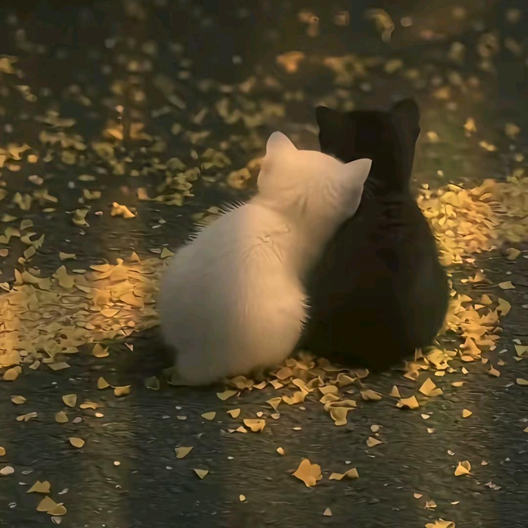 ঞ🍒兜兜꧔ꦿ᭄有钱࿐ᩚ