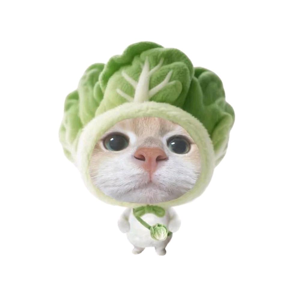 🌈小小小炸炸弹