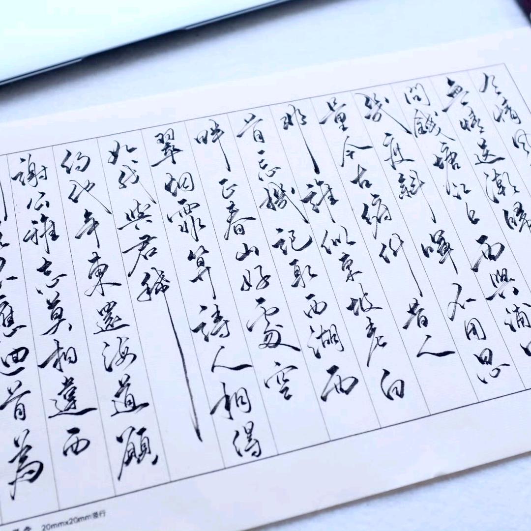 勤勤恳恳的学习