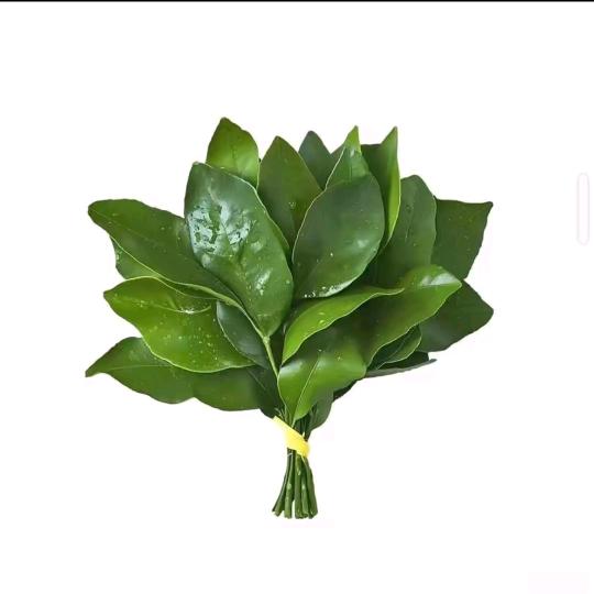 选择困难症