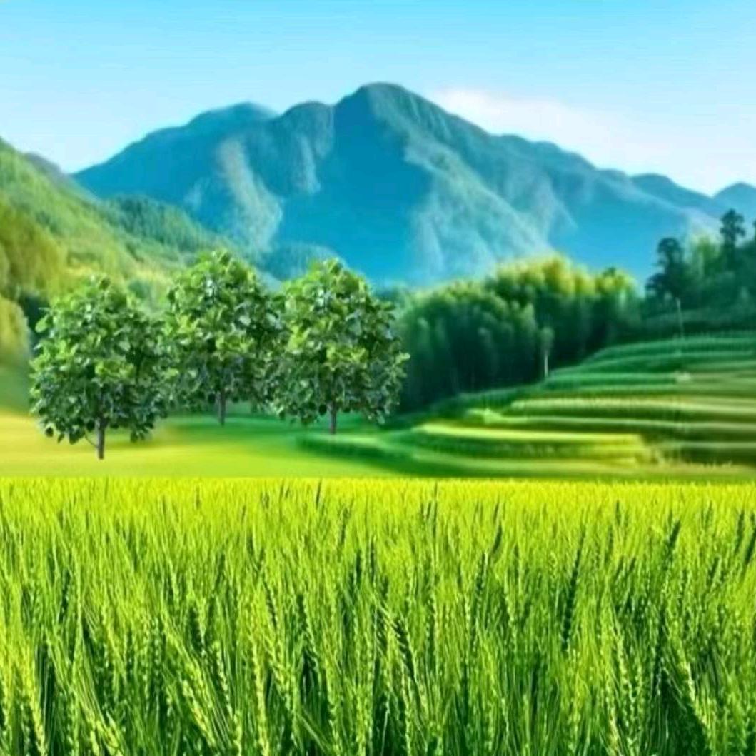 河北衡水岩棉网娜娜