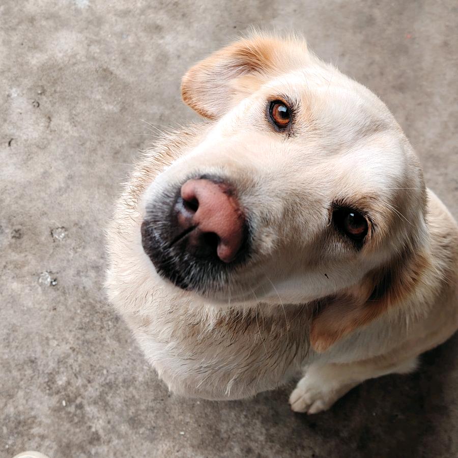 高泰科技短视频推文