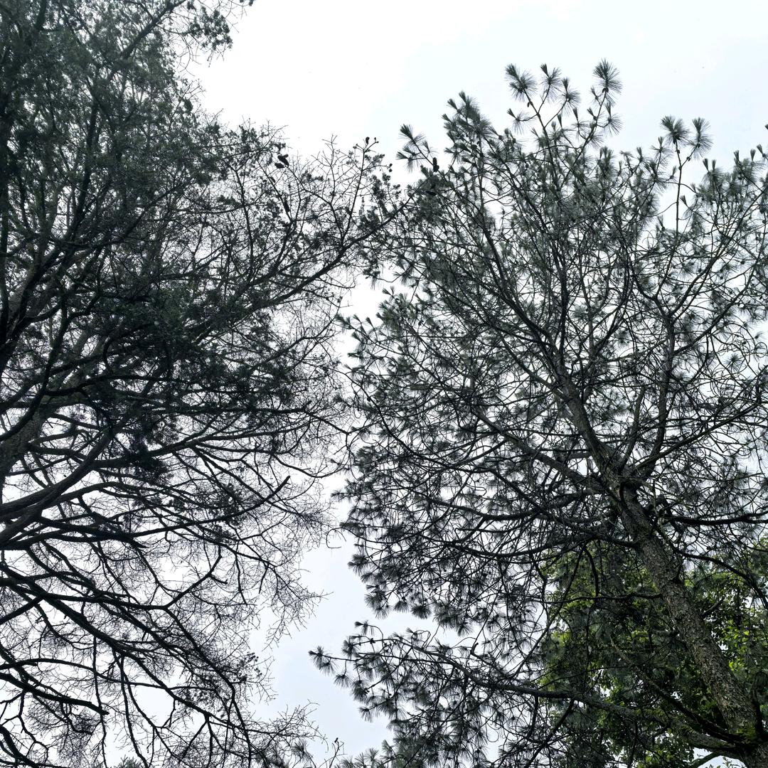 万嘉车道金吉汽修(宝乐巷店)