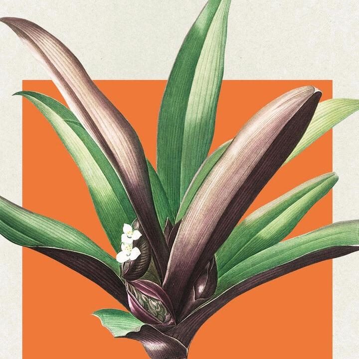 谢家80后，努力的大叔