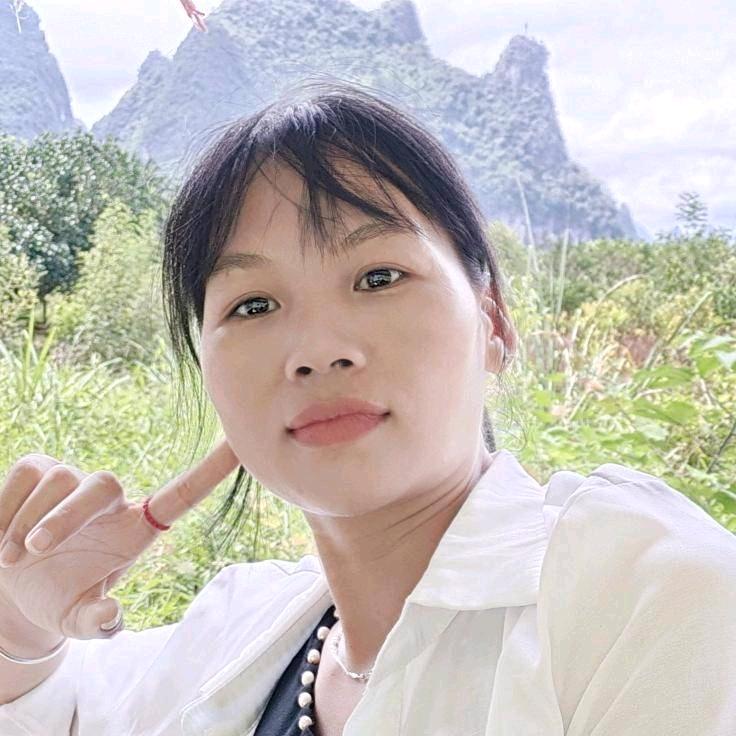 家燕农家豆腐制品店